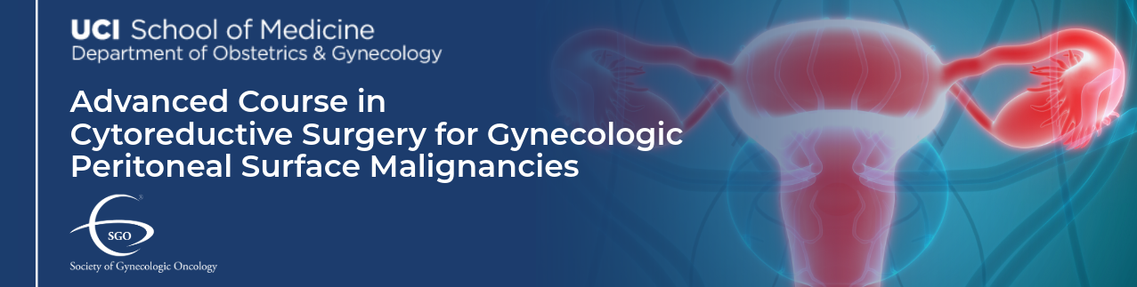  Advanced Course in Cytoreductive Surgery for Gynecologic Peritoneal Surface Malignancies:  Radical Pelvic and Upper Abdominal Procedures with Cadaver Dissection Banner